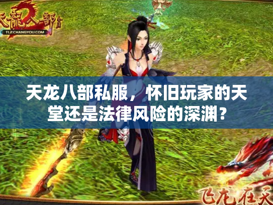 天龙八部私服，怀旧玩家的天堂还是法律风险的深渊？