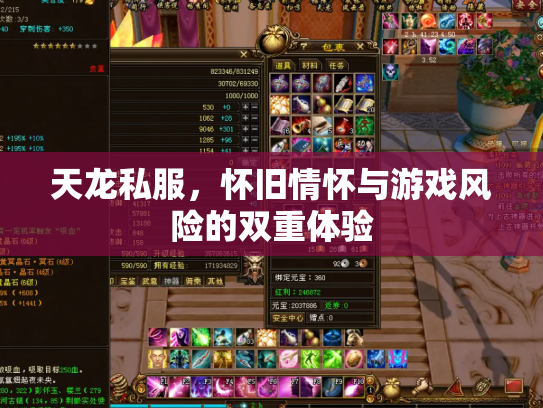 天龙私服，怀旧情怀与游戏风险的双重体验