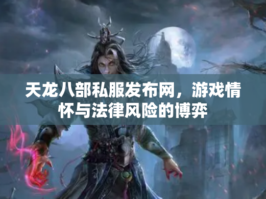 天龙八部私服发布网，游戏情怀与法律风险的博弈