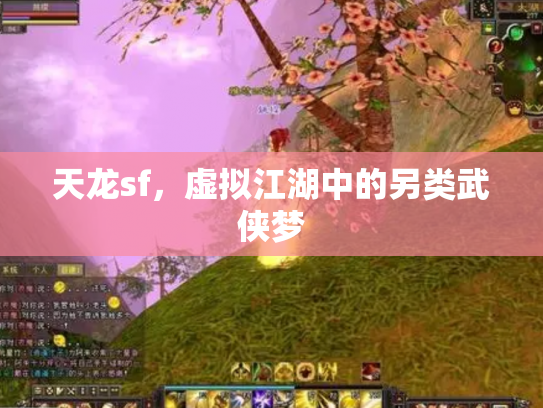 天龙sf，虚拟江湖中的另类武侠梦