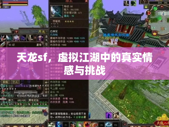 天龙sf，虚拟江湖中的真实情感与挑战