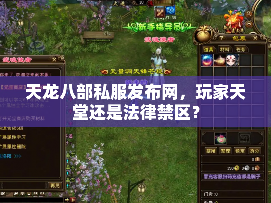 天龙八部私服发布网，玩家天堂还是法律禁区？