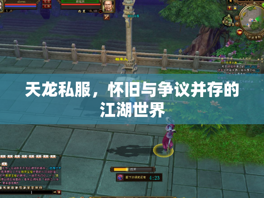 天龙私服，怀旧与争议并存的江湖世界