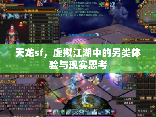 天龙sf，虚拟江湖中的另类体验与现实思考