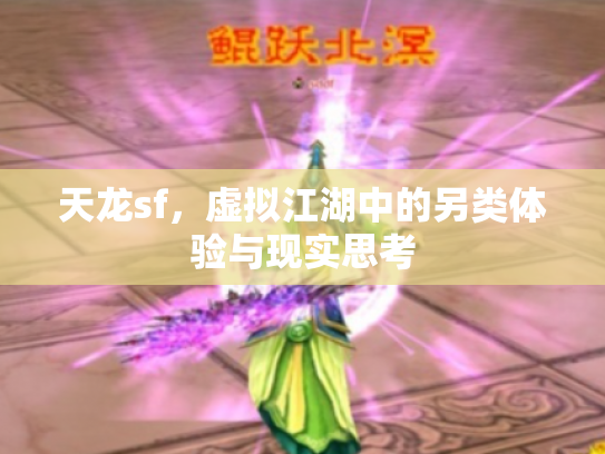 天龙sf，虚拟江湖中的另类体验与现实思考