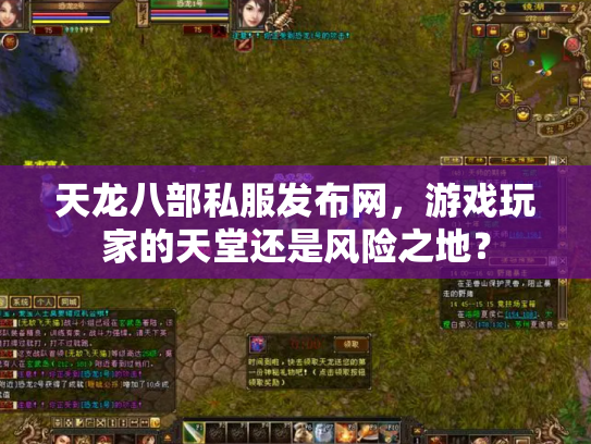 天龙八部私服发布网，游戏玩家的天堂还是风险之地？