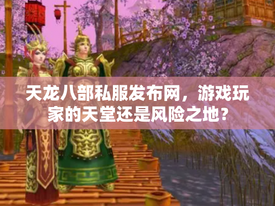 天龙八部私服发布网，游戏玩家的天堂还是风险之地？