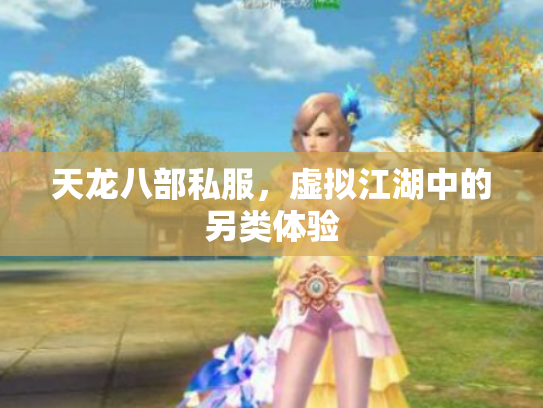 天龙八部私服，虚拟江湖中的另类体验