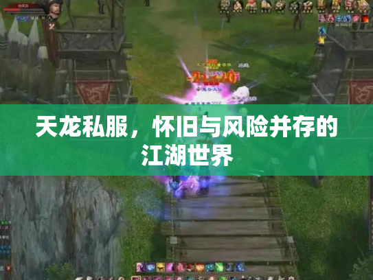 天龙私服，怀旧与风险并存的江湖世界