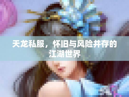 天龙私服，怀旧与风险并存的江湖世界