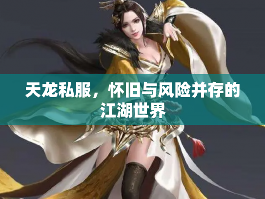 天龙私服，怀旧与风险并存的江湖世界