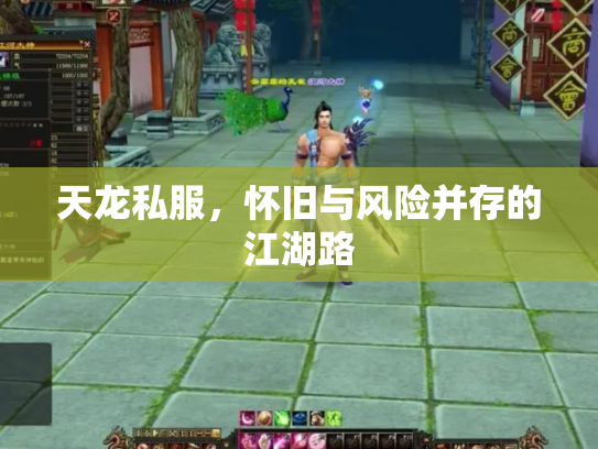 天龙私服，怀旧与风险并存的江湖路
