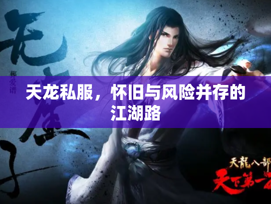 天龙私服，怀旧与风险并存的江湖路