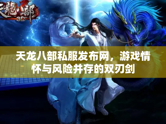 天龙八部私服发布网，游戏情怀与风险并存的双刃剑