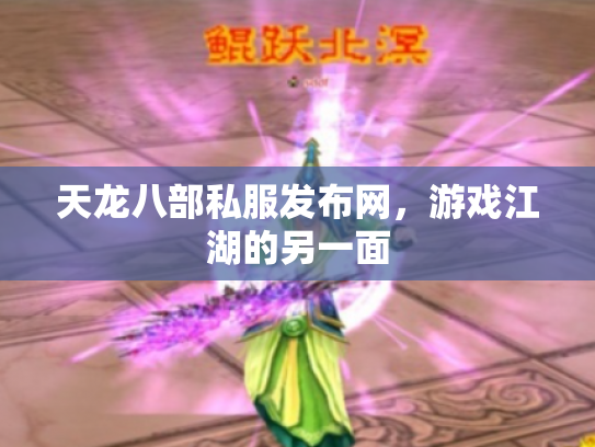 天龙八部私服发布网，游戏江湖的另一面