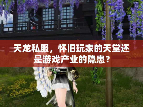 天龙私服，怀旧玩家的天堂还是游戏产业的隐患？