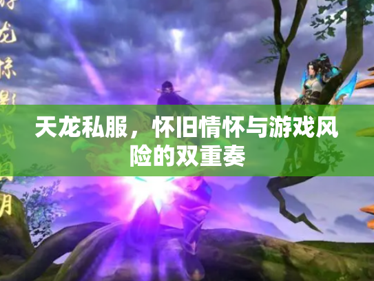 天龙私服，怀旧情怀与游戏风险的双重奏