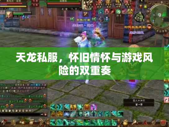 天龙私服，怀旧情怀与游戏风险的双重奏