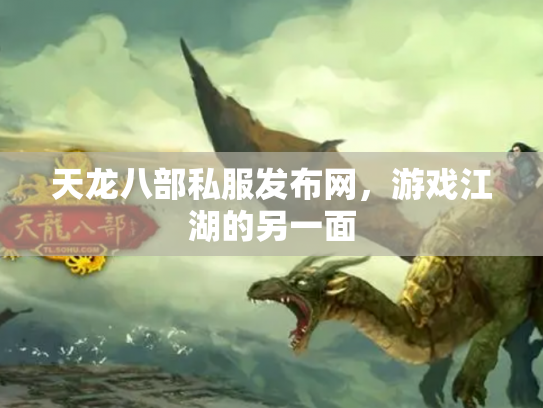 天龙八部私服发布网，游戏江湖的另一面