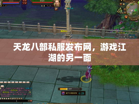 天龙八部私服发布网，游戏江湖的另一面