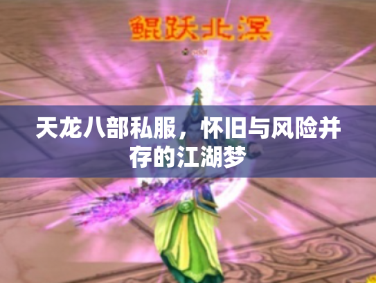 天龙八部私服，怀旧与风险并存的江湖梦