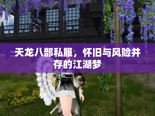 天龙八部私服，怀旧与风险并存的江湖梦