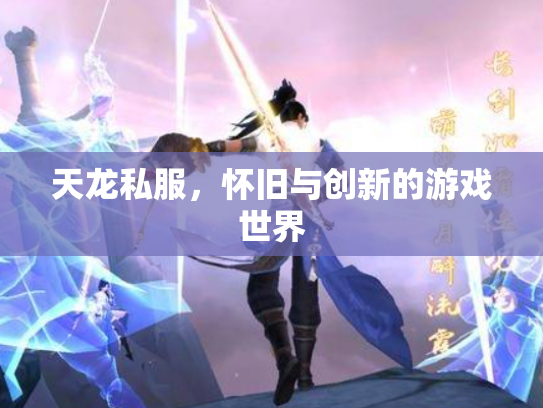 天龙私服，怀旧与创新的游戏世界