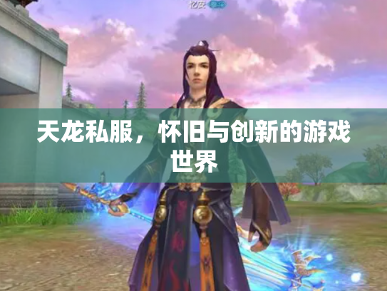 天龙私服，怀旧与创新的游戏世界