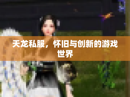 天龙私服，怀旧与创新的游戏世界