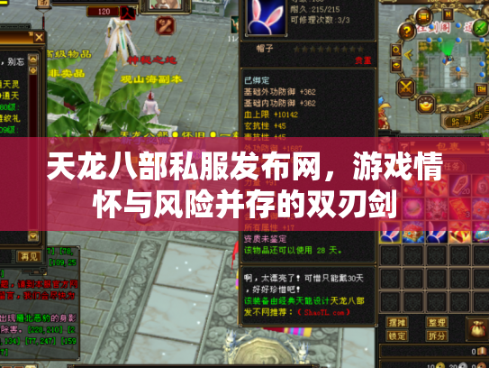 天龙八部私服发布网，游戏情怀与风险并存的双刃剑