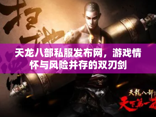 天龙八部私服发布网，游戏情怀与风险并存的双刃剑
