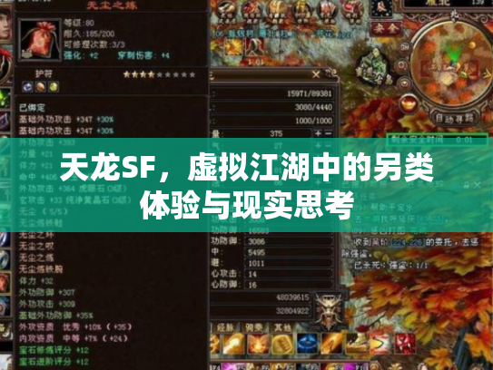 天龙SF，虚拟江湖中的另类体验与现实思考