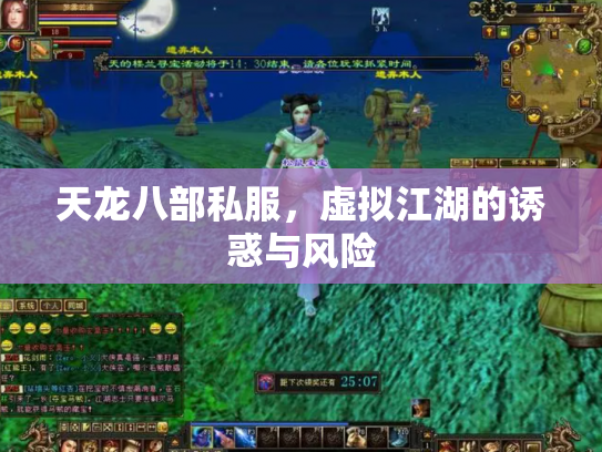 天龙八部私服，虚拟江湖的诱惑与风险