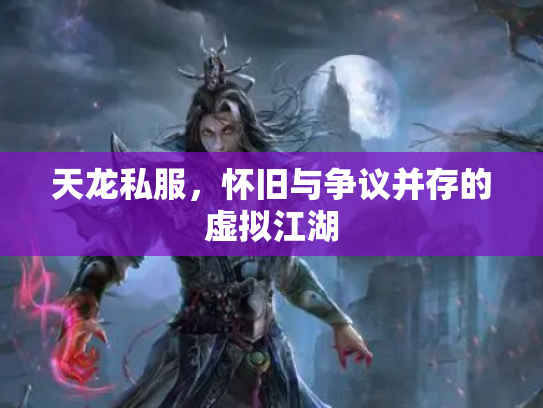 天龙私服，怀旧与争议并存的虚拟江湖