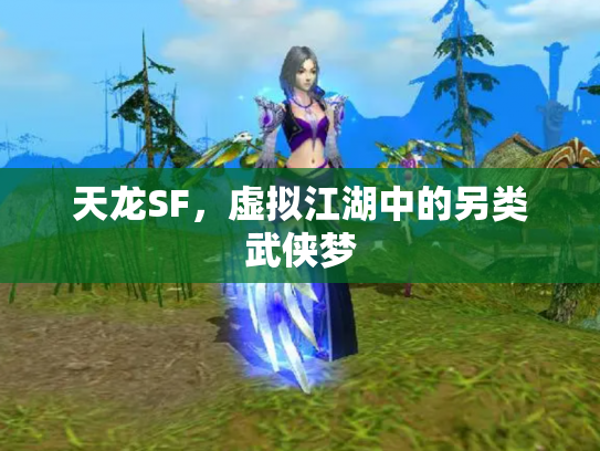 天龙SF，虚拟江湖中的另类武侠梦