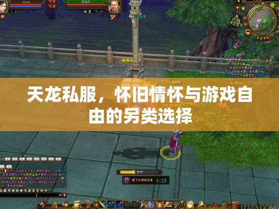 天龙私服，怀旧情怀与游戏自由的另类选择