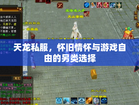 天龙私服，怀旧情怀与游戏自由的另类选择