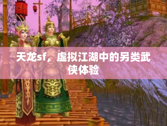 天龙sf，虚拟江湖中的另类武侠体验