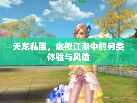 天龙私服，虚拟江湖中的另类体验与风险