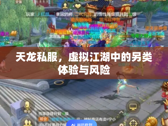 天龙私服，虚拟江湖中的另类体验与风险