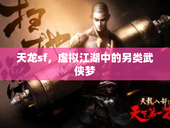 天龙sf，虚拟江湖中的另类武侠梦