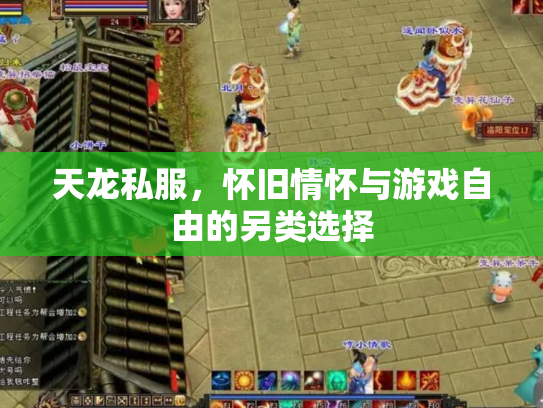天龙私服，怀旧情怀与游戏自由的另类选择