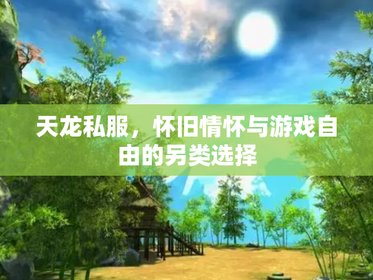 天龙私服，怀旧情怀与游戏自由的另类选择