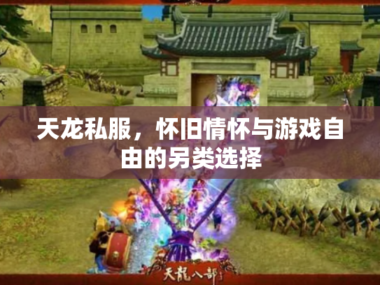 天龙私服，怀旧情怀与游戏自由的另类选择