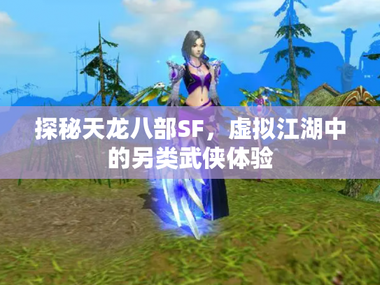 探秘天龙八部SF，虚拟江湖中的另类武侠体验