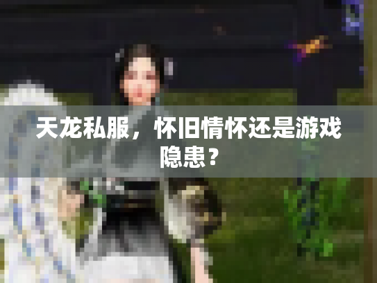 天龙私服，怀旧情怀还是游戏隐患？