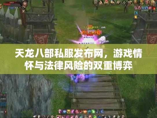 天龙八部私服发布网，游戏情怀与法律风险的双重博弈