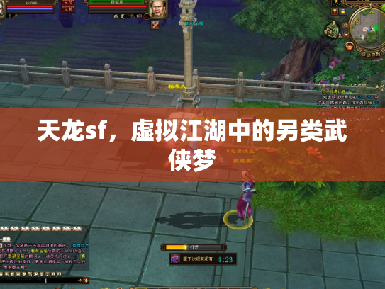 天龙sf，虚拟江湖中的另类武侠梦