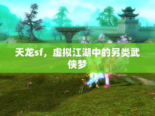 天龙sf，虚拟江湖中的另类武侠梦