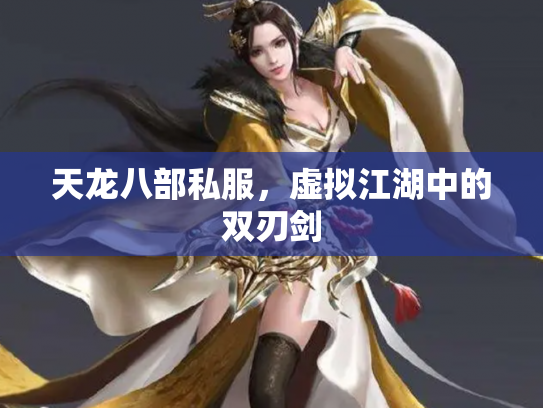 天龙八部私服，虚拟江湖中的双刃剑
